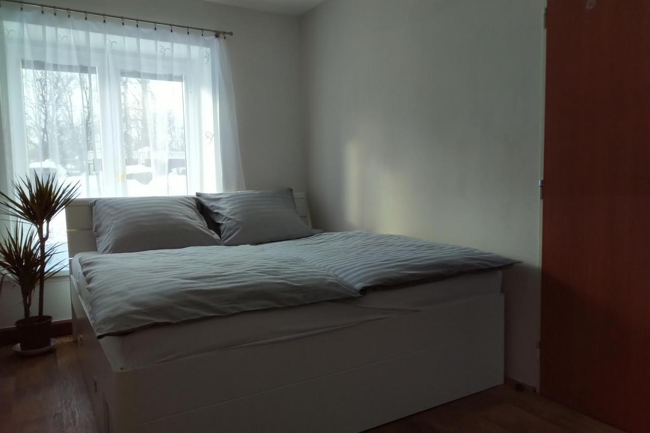 Apartman Pod Rickami Apartman Rokytnice v Orlických Horách Kültér fotó