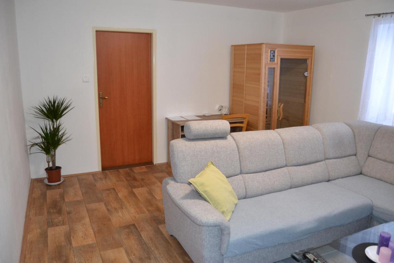 Apartman Pod Rickami Apartman Rokytnice v Orlických Horách Kültér fotó